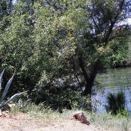 Sequoia Riverfront Cabins Three Rivers Eksteriør billede