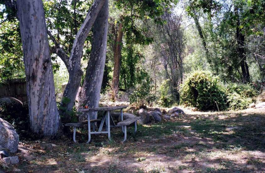 Sequoia Riverfront Cabins Three Rivers Værelse billede